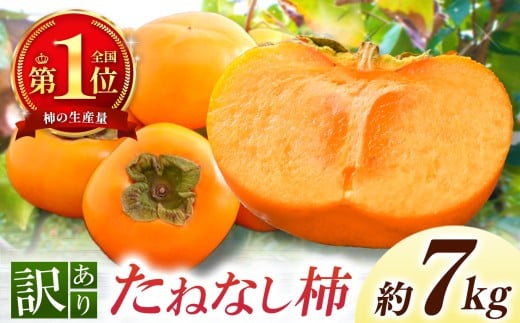 yޗǌܞszyȂ炿 vc_z˂Ȃ`@A@7kgi28ʁ`36ʁj | t[c ʕ  `  JL ޗǌ ܞs e Ղ ǂ Ȃ 킯 󂠂 