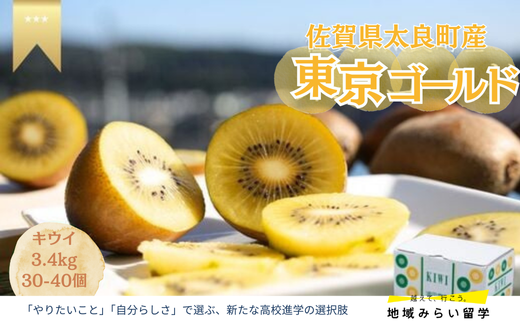 佐賀県太良産】浦田農園『東京ゴールド(キウイフルーツ)』3.4kg(30〜40