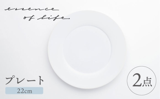 大感謝祭対象】【波佐見焼】【essence】agasuke プレート 〈22cm〉 2点