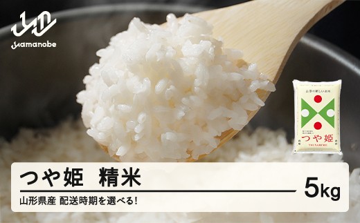 米 つや姫 精米 5kg 令和7年産 2025年産 山形県産 配送時期選べる tf