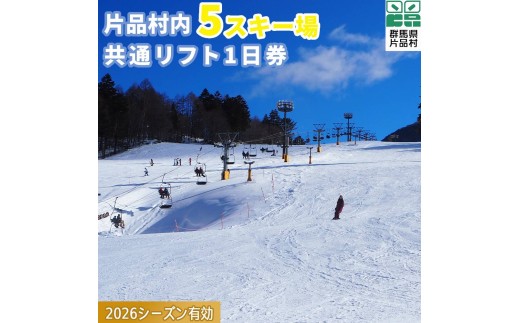 かたしな高原スキー場 ファミリーセットリフト1日引換券　大人2 子供1人+駐車場 かたしな高原スキー場 ファミリーセットリフト1日引換券 大人2 子供1