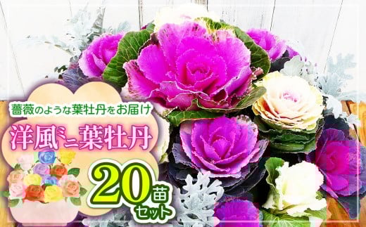 yɌSzm~jtOZbgtO̎YnKN̂悤ȗtO͂20c | tO ~j Zbg  Ɍ S