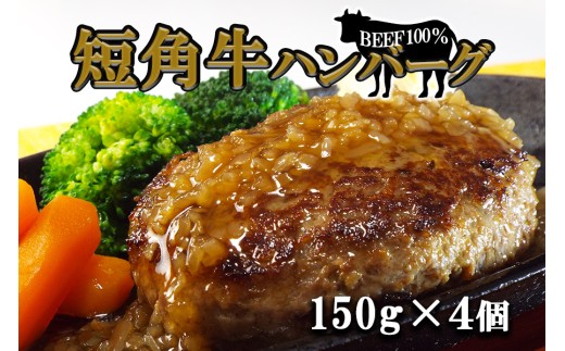 y茧ВzZpno[O@r[t100I@150×4