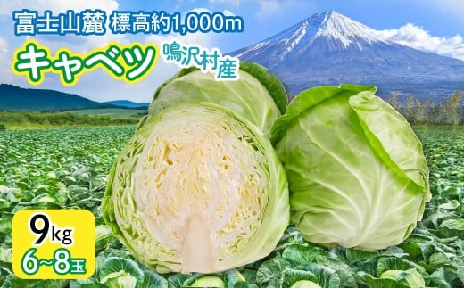 yR򑺁z2026NLxc@9s@iU`Wʁj NSAK005 | ӂ邳Ɣ[ Lxc VN  VLVL  R   |