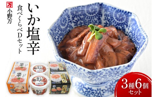 y{錧Cszh Hׂ DZbg [얜 {錧 Cs 20565734]  h  CJ Zbg lߍ킹 ̍ ܂ т̂ ①