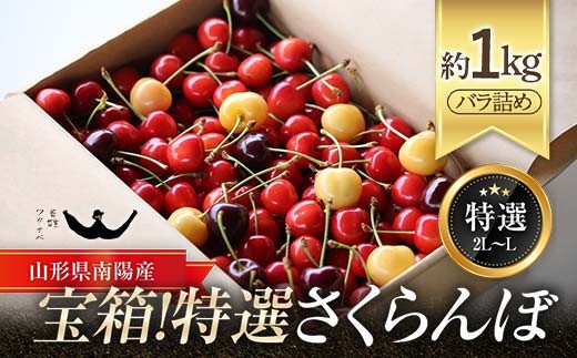 令和8年産先行予約】 宝箱！特選 さくらんぼ 3種 約1kg (特選 L～2L