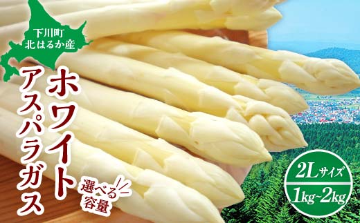 マッキー　2Lホワイトアスパラ 3kg 香川県より産地直送 JA香川県 ホワイトアスパラ 2LからMサイズ 約700g