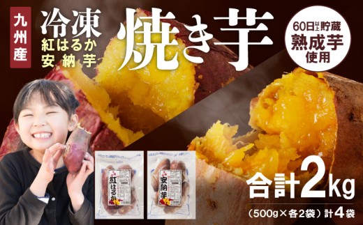 安納芋プチ2sサイズ20kgさつまいも 安納芋 紅 焼き芋におやつに#14