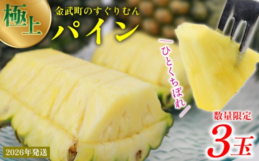 古い徳利  パイナップル 楽天市場】【ふるさと納税】徳之島 天城町産 パイナップル ＜選べる