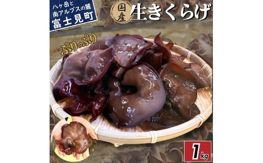 y쌧xmzy2026Ns\z  ՂՂRR 炰 1kg xR[炿 Y SS _sgp nEX͔| H@ MB  [7{Jn]