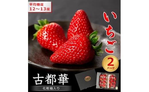 yޗǌacszޗǌY@Ós؁@ϔ2pbN2025N12{甭_  ʕ t[c  { lC   Mtg Yn  ① Y