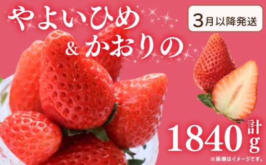 ygszs3`t s\  󂠂  悢Ђ  2 v1840g   Xgx[ ʕ t[c P[L [[ W[X ACX V[xbg `R t[cT