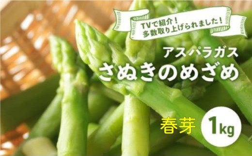 y쌧ۋTszys\z AXpKX ʂ̂߂ t 1kg AXp O[AXp  ₳ { {̖ G߂̖ Yn  쌧 ۋT ۋTs ① ①z J