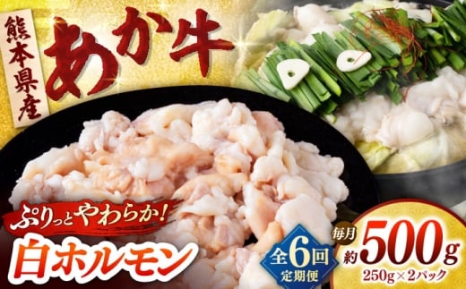 yF{RszyS6ցz  z 500g (250g×2P) yЁ@t[Yz [ZFR051]