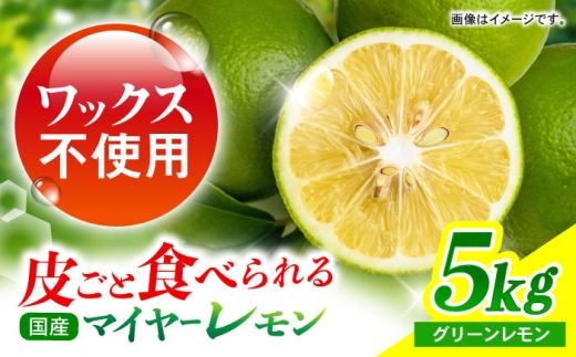 y茧|szyO[݂̂͂z}C[ 5kg?/   EG ʏ` O[ [ k t[c ӂ[ ʕ  / |s / Rʎ