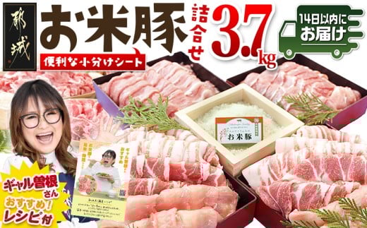 【宮崎県都城市】お米豚3.7kgセット≪みやこんじょ快速便≫_23-3101-R_(都城市) 豚肉 豚ロース 豚こま切れ 豚バラ肉 豚肩ロース ブランド豚 小分け シート仕切り スライス肉 14日以内にお届け