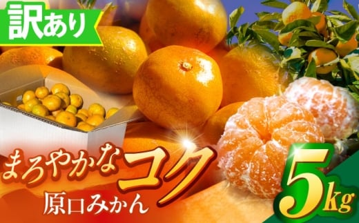 y茧Iz󂠂 ݂ 5kgyɔ_z [OBP002] / ͂炮  킯 ~J ݂  󂠂݂