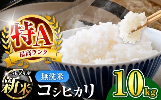 ytNÎszV  ߘa7NY tY RVqJ 10kg  y 10{ȍ~ z | R    ӂ  Ђ ɂ ٓ tӂ邳Ƒ C`IV 