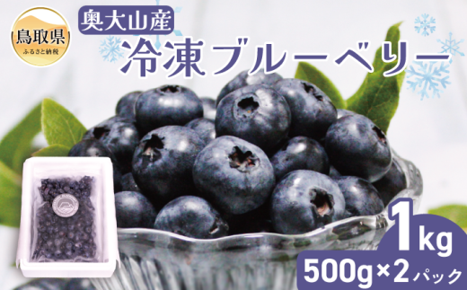 y挧zB24-208 RYⓀu[x[500g×2pbN