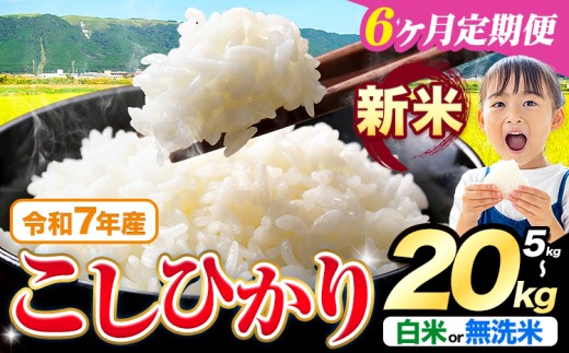 yF{kzy6ցzߘa7NY V  Iׂ Ђ 5kg 10kg 15kg 20kg  Iׂs\݂̗oׁtF{Y ӂ邳Ɣ[    Ђ  