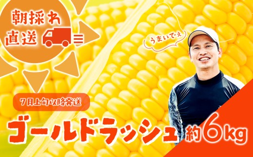 y錧㒬zy s\ 2026N7{ȍ~ zy_ƒz ̂! gERVi S[hbV j1  6kg Ƃ낱 XC[gR[ Yn Ԍ Â [SF018ya]