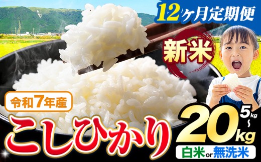 yF{kzy12ցzߘa7NY V  Iׂ Ђ 5kg 10kg 15kg 20kg  Iׂs\݂̗oׁtF{Y ӂ邳Ɣ[    Ђ  