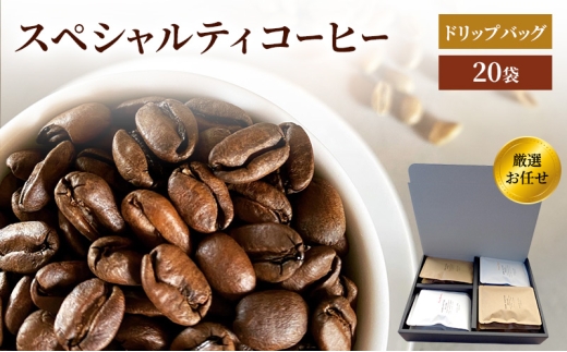 yꌧsz Nh[蓤X XyVeBR[q[ hbvobO I C 20P(10×e2pbN)  Zbg