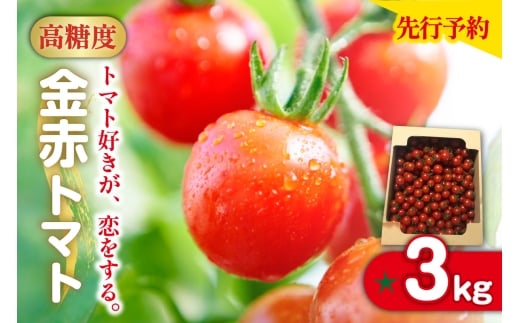 ym튊szys\zy2025N12珇zg}gDAB@3kg@ԃg}g~j  VN Ė {  ~jg}g v`g}g t[c g}g 