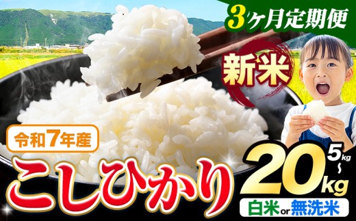 yF{kzy3ցzߘa7NY V  Iׂ Ђ 5kg 10kg 15kg 20kg  Iׂs\ݗoׁtF{Y ӂ邳Ɣ[    Ђ   