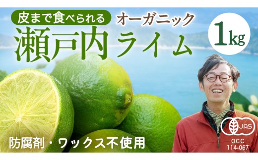 オーガニック ライム 1kg 【2026年9月以降発送】 国産 柑橘 果物
