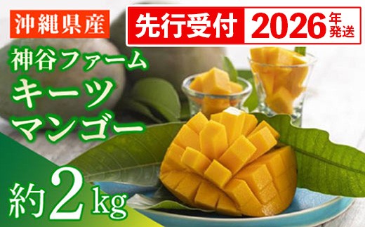 先行受付】【2026年発送】神谷ファームのキーツマンゴー 約2kg - 先行 