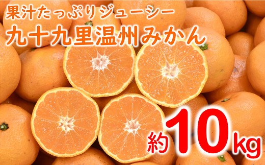順次発送】【訳あり】九十九里温州みかん 約10kg SMBZ001 - 千葉県山武