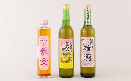 y茧ێszC312 {d݂̔~3ރZbg