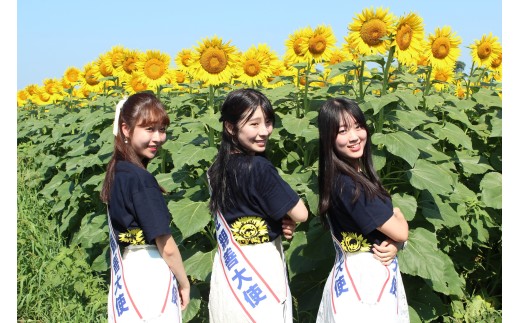 清瀬市のお礼の品情報｜ふるさとチョイス - ふるさと納税サイト