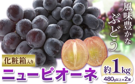 yR}szy2026Ns\zj[sI[l 1[480gȏ 1kg 2[ ϔ ЎRs2026N8{-10{oׁtR }s Ԃǂ t[c Mtg p { ʕ Y