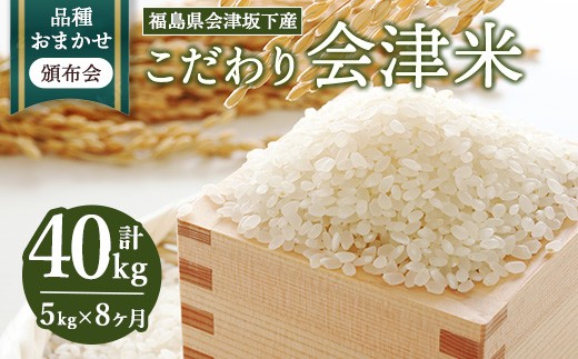 【福島県会津坂下町】【おまかせ定期便】会津坂下産 こだわりの会津米(頒布会)5kg×8ヶ月(計40kg) ※北海道・沖縄・離島への配送不可 ※2025年11月上旬頃より順次発送予定