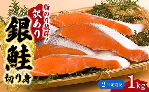 y{錧szy2Aցz󂠂  ؂g 1kg Zbg lߍ킹 VP ؐg  TP VP ̐؂g KiO s    CN CNZbg ̐؂g ؐg