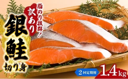 y{錧szy2Aցz󂠂  ؂g 1.4kg Zbg lߍ킹 VP ؐg  TP VP ̐؂g KiO s    CN CNZbg ̐؂g 