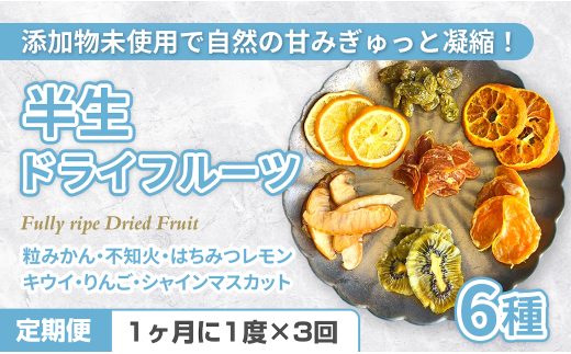 y茧ێszC307sցtYY6̔hCt[cy3񂨓͂z