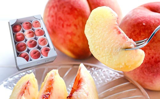 08-10-023 白桃(品種おまかせ) 3kg - 山形県天童市｜ふるさとチョイス