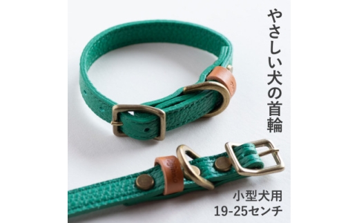 首輪 本革 イタリアンレザー グリーン 小型犬用 (19-25センチ)ペット