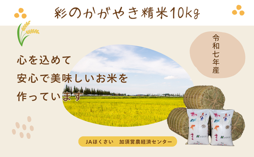 令和6年産　彩のかがやき　白米10キロ② スマート農業技術を活用した 令和6年産 彩のかがやき白米 5キロ | 埼玉