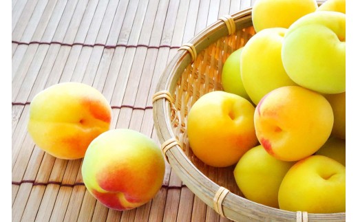 ya̎R쒬zm~E~pn4LTCY2kg n썂 ~ ԏGi2026N6{`77\聄mART01n