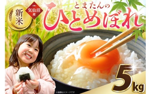 y{錧Csz ߘa7NY {錧Y Ƃ܂̂ЂƂ߂ڂ 5kg [TtbV_ {錧 Cs 20565646] V ЂƂ߂ڂ uh    ͂ R   