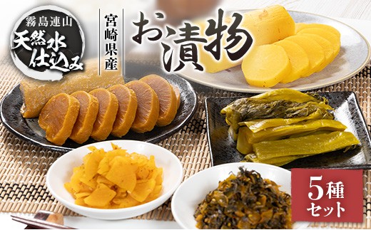 y{茧zuARvVRd݂̂Е 5 oGeBZbg {茧Y  