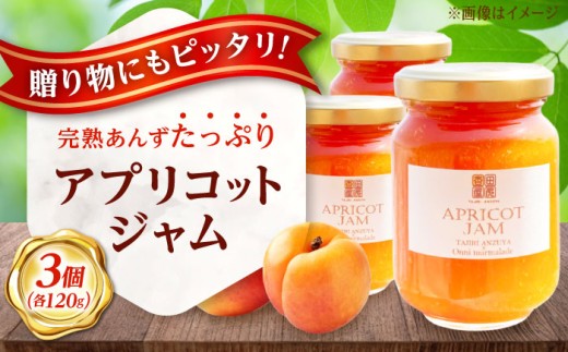 ジャム 田尻あんずのアプリコットジャム 120g 3個入り おすすめ 人気