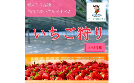 最大11品種食べ比べ! いちご空中農園いわた いちご狩り入園券 45分間