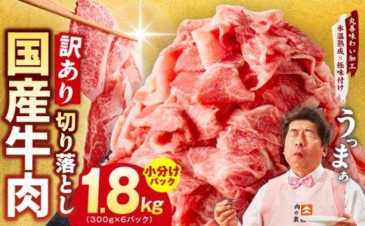 y{򍲖szyTVŏЉIzY ؂藎Ƃ 1.8kg  300g×6PyY  Xn×ɖt 󂠂 TCYs J[  u Ⴊ ƌvz
