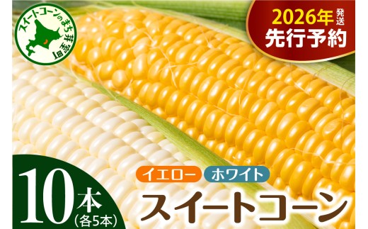 ykC莺zystzy2026N7{`8{zzkC\莺 Ƃ낱 CG[5{ zCg5{ me002-008c-26