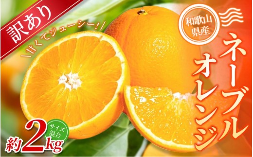 ya̎RI쒬zy󂠂zI l[uIW 2kg a̎RY 2S~2LTCY2026N1{`2{ɏymrmt018z